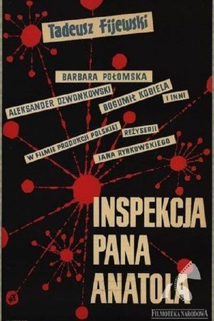 Mr. Anatol's Inspection's poster
