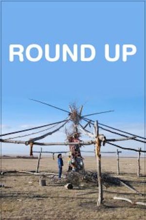 Round Up's poster