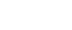 The Guest's poster