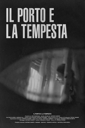 Il porto e la tempesta's poster