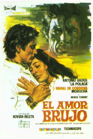 Bewitched Love's poster