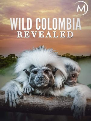 Colombia: Wild Magic's poster
