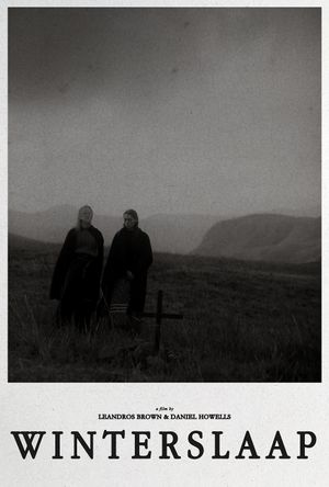 Hibernation's poster