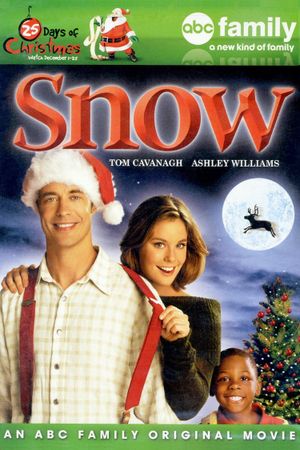 Snow's poster