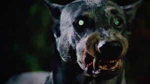 Devil Dog: The Hound of Hell's poster