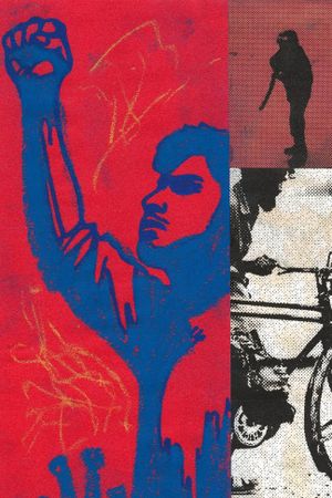 Hasina - 36 Days in July's poster