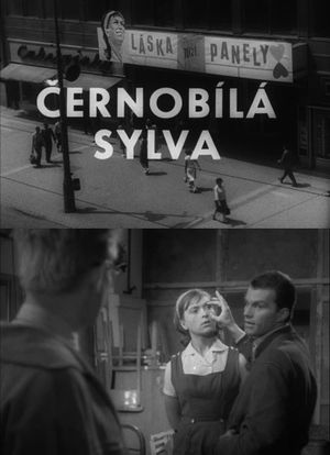 Black and White Sylva's poster