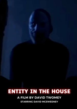 ENTITY IN THE HOUSE's poster