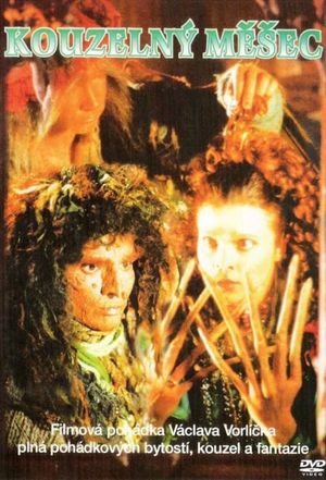 Das Zauberbuch's poster