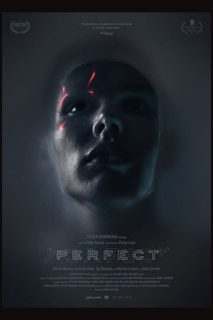 Perfect's poster