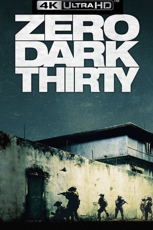 Zero Dark Thirty's poster