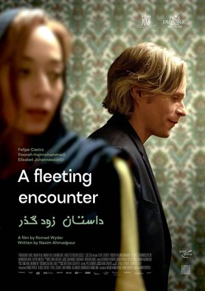 A Fleeting Encounter's poster