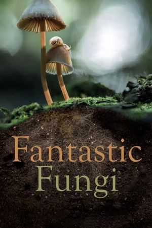 Fantastic Fungi's poster
