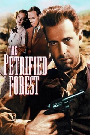 The Petrified Forest's poster
