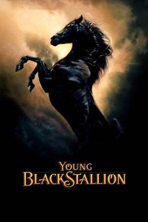 The Young Black Stallion's poster