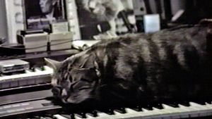 Cat Listening to Music's poster
