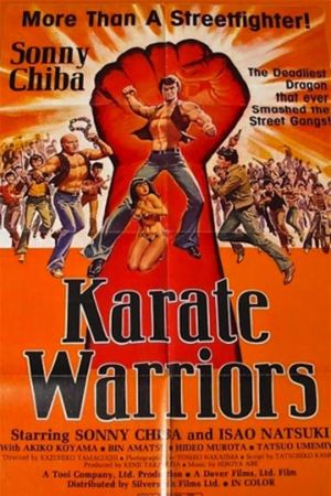 Karate Warriors's poster