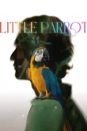 Little Parrot's poster