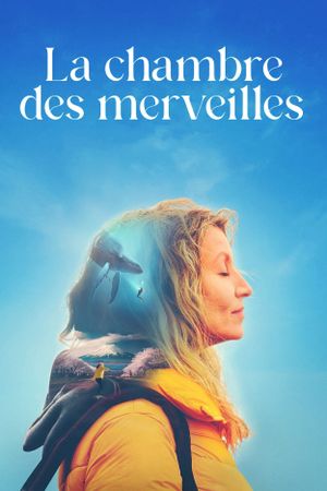 The Book of Wonders's poster