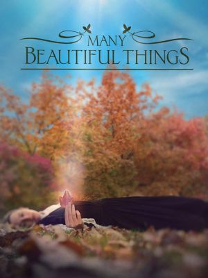 Many Beautiful Things's poster