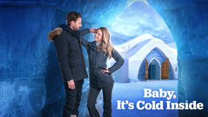 Baby, It's Cold Inside's poster
