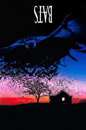 Bats's poster