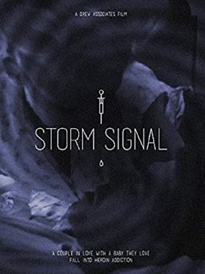 Storm Signal's poster
