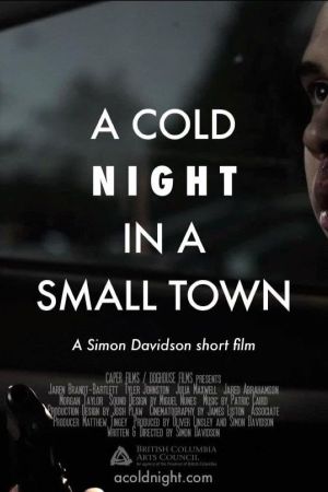 A Cold Night in a Small Town's poster
