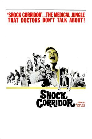 Shock Corridor's poster