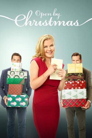 Open by Christmas's poster