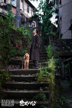 Hachiko's poster