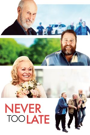 Never Too Late's poster image