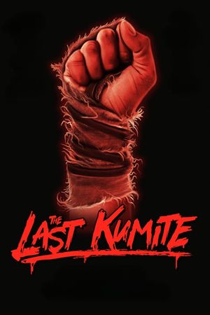 The Last Kumite's poster