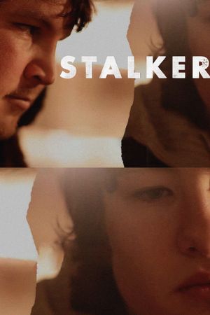 Stalker's poster