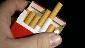 The Man Who Quit Smoking's poster