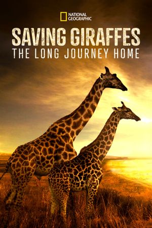 Saving Giraffes: The Long Journey Home's poster image