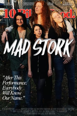 Mad Stork's poster