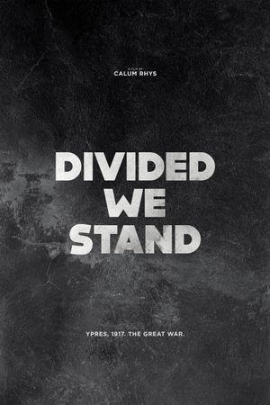 Divided We Stand's poster