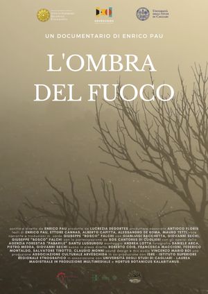 L'ombra del fuoco's poster