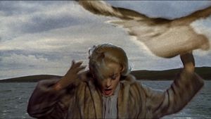 The Birds's poster
