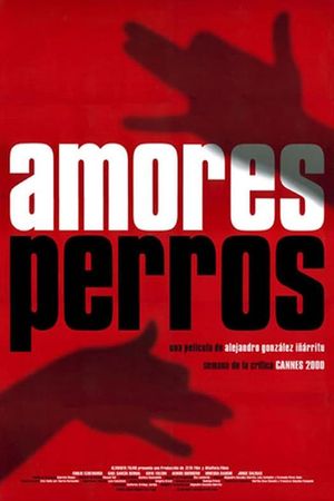 Amores Perros's poster