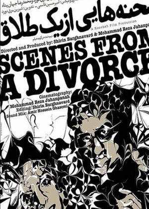 Scenes From a Divorce's poster image