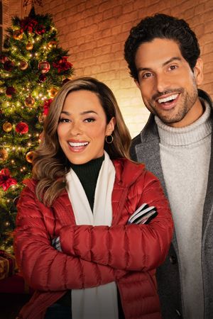 A Christmas Proposal's poster