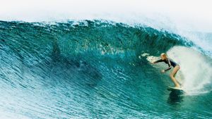 The Shallows's poster