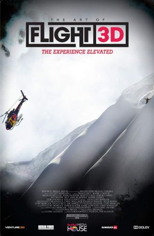 The Art of Flight's poster
