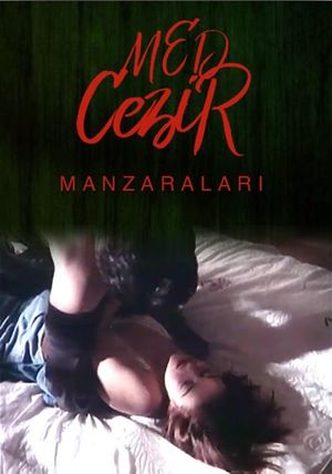 Medcezir Manzaralari's poster