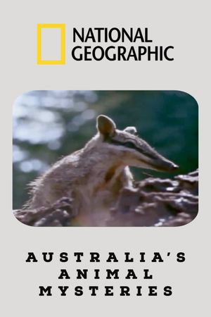 Australia's Animal Mysteries's poster