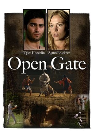 Open Gate's poster