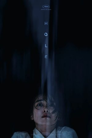 Hole's poster