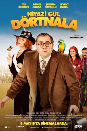 Niyazi Gül: Dörtnala's poster